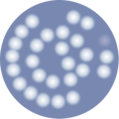 TR Woods Logo